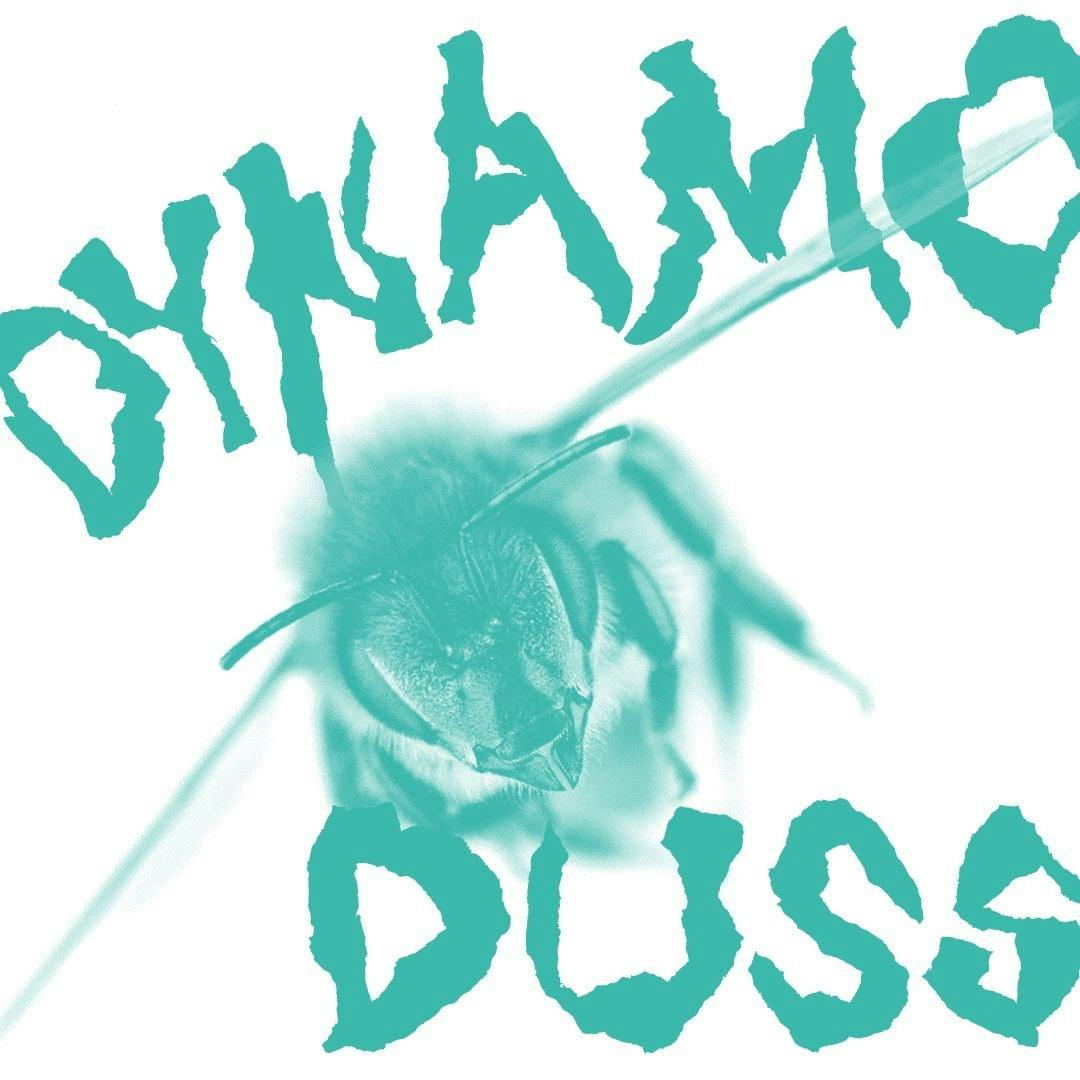 Dynamo_Duss.jpg