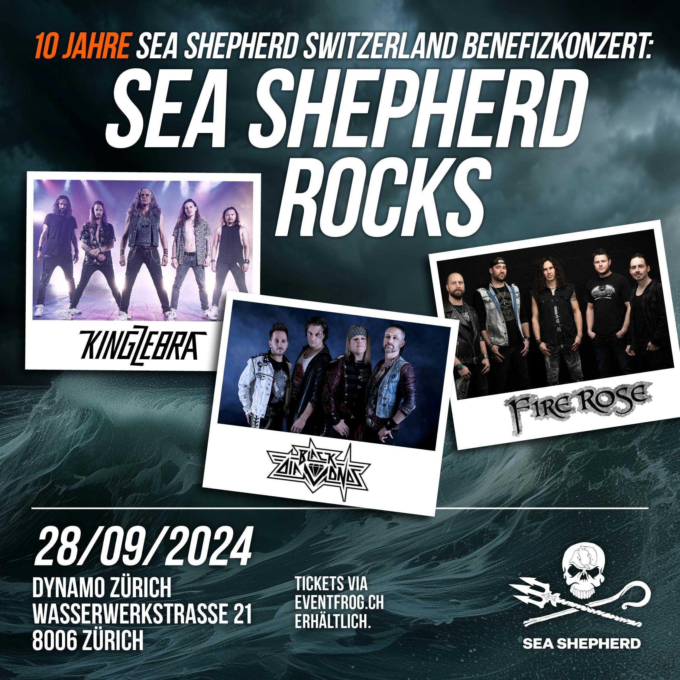 Sea Shepherd rocks! Benefizkonzert