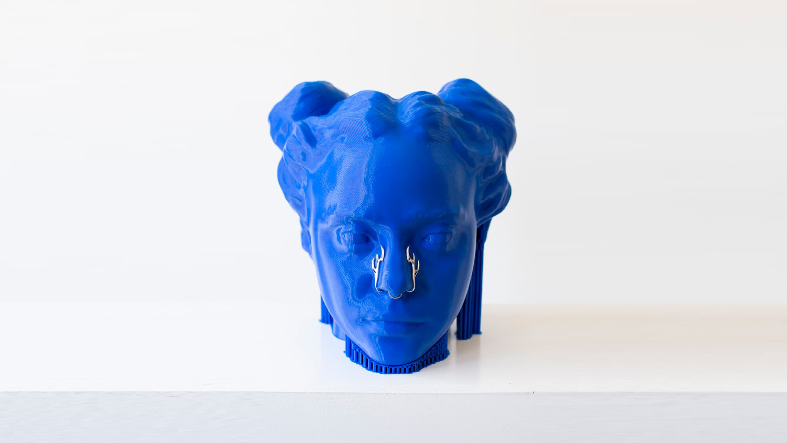 3D Scan, 3D Sculpt, 3D Bio Plastic Print, Silver appliques