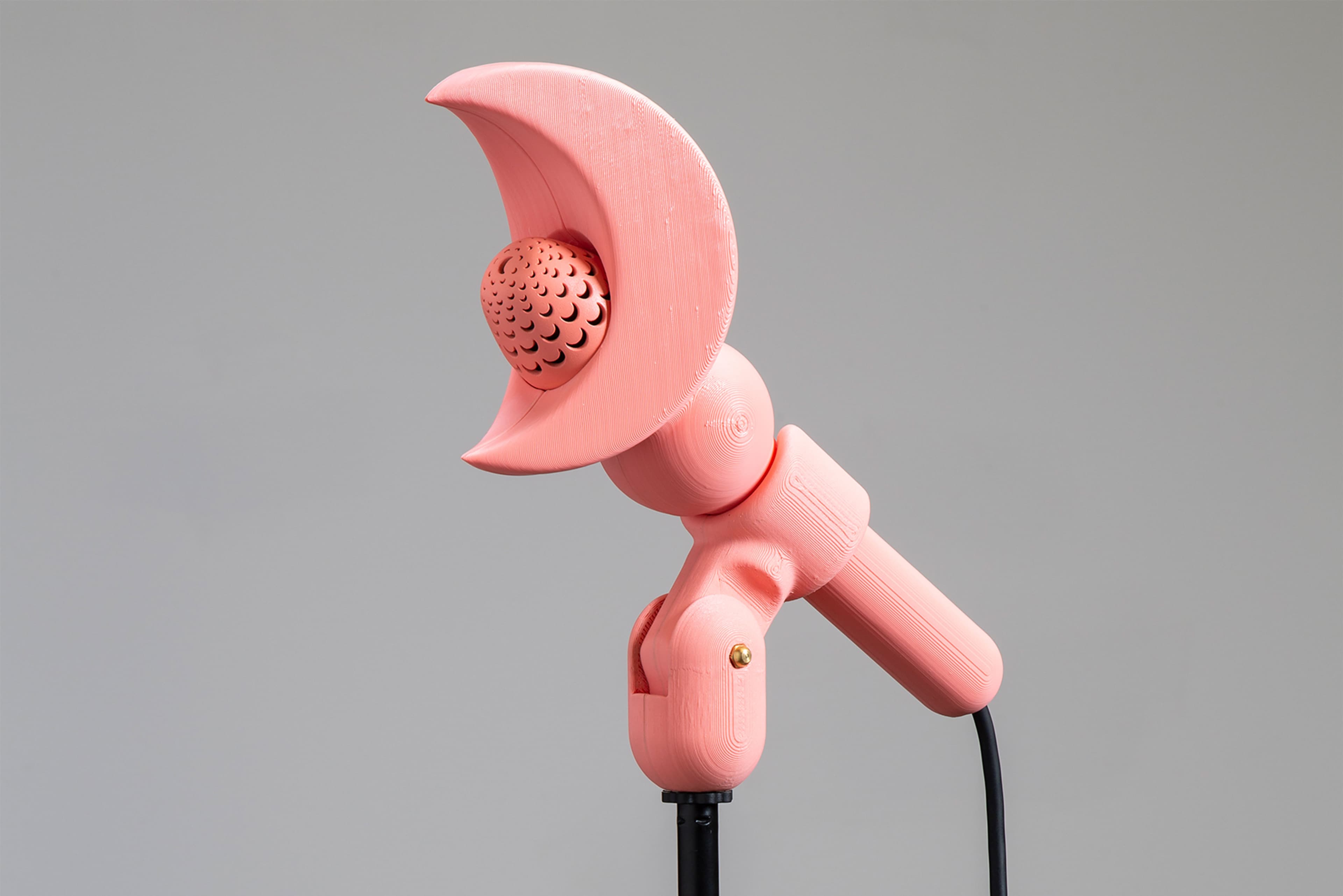 3D modeling and printing, PLA, ecological photosensitive resin, professional mic